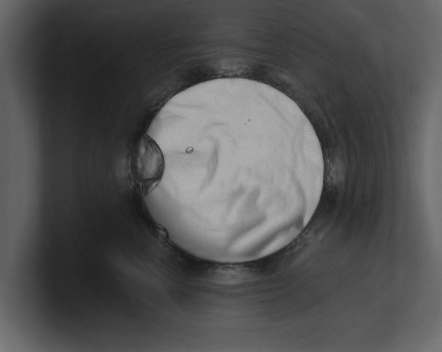 X0000100960666200807151359