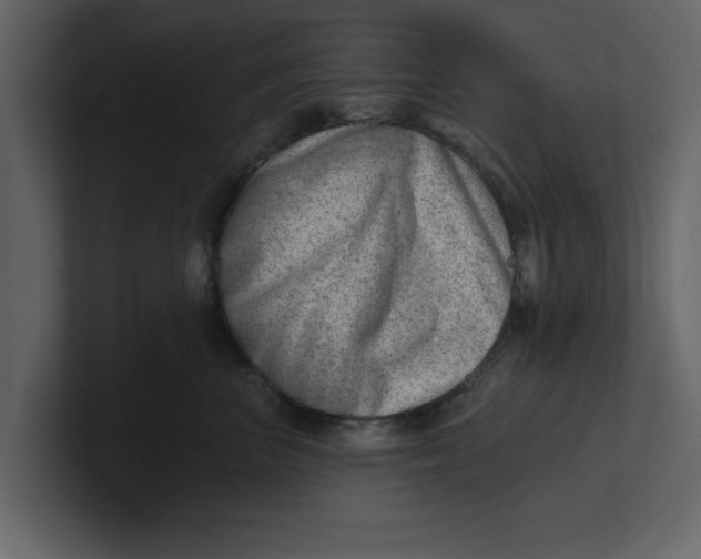 X0000100960667200807151359