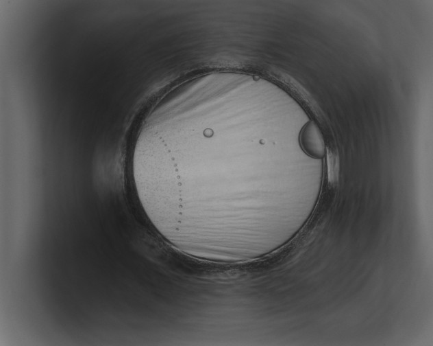 X0000100960675200807151359