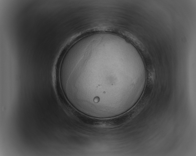 X0000100960678200807151359