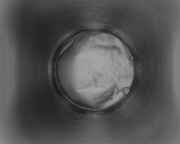 X0000100960679200807151359