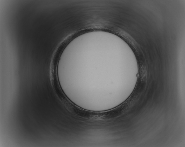 X0000100960680200807151359