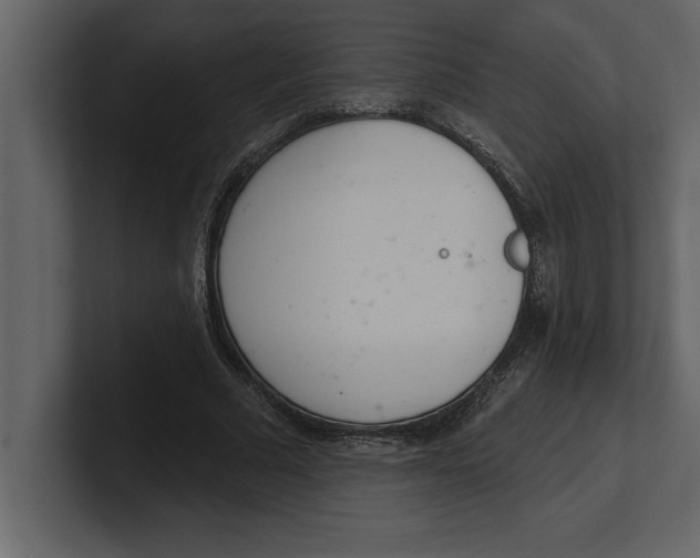 X0000100960681200807151359