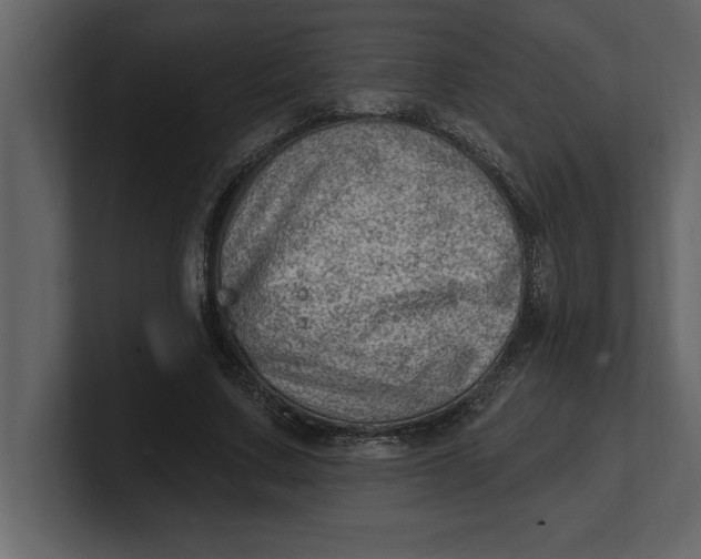 X0000100960683200807151359