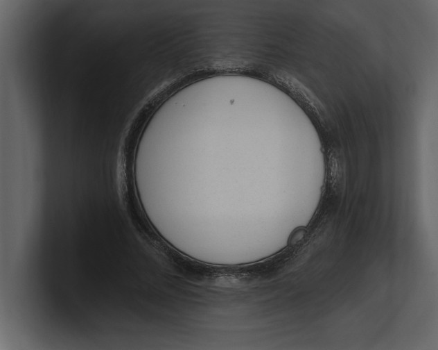 X0000100960684200807151359