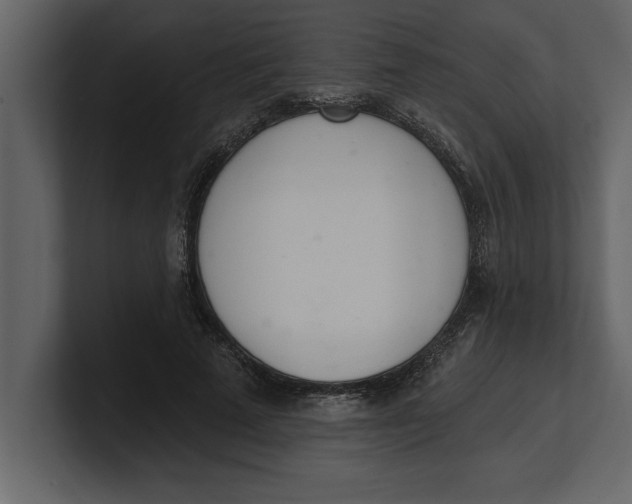 X0000100960689200807151358