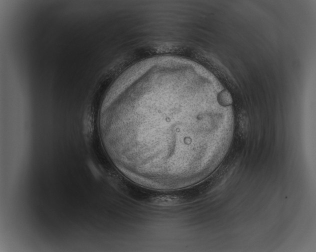 X0000100960691200807151358