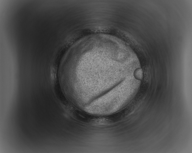 X0000100960695200807151358