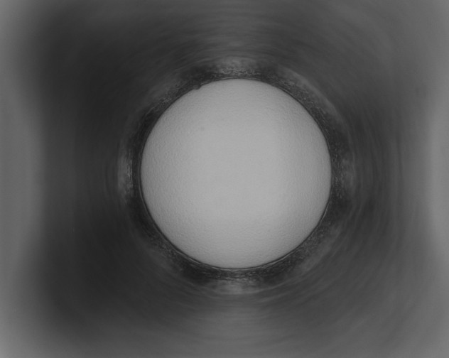 X0000100960696200807151358