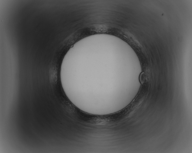 X0000100960697200807151358