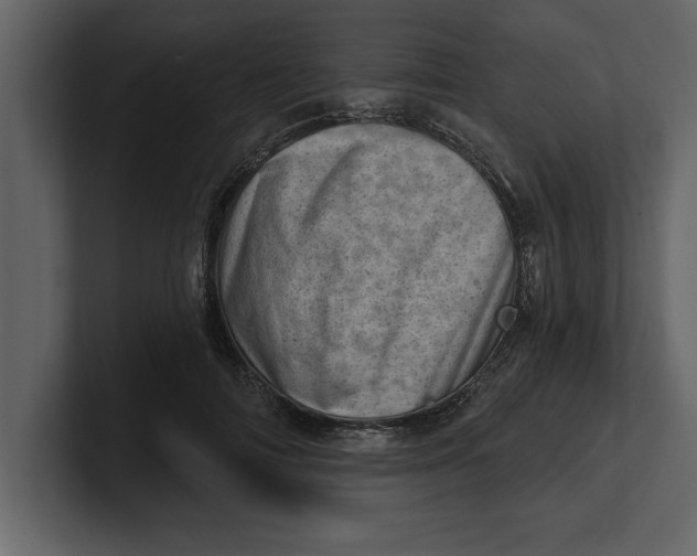 X0000100960698200807151358