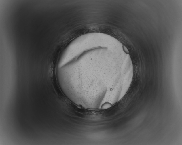 X0000100960702200807151358