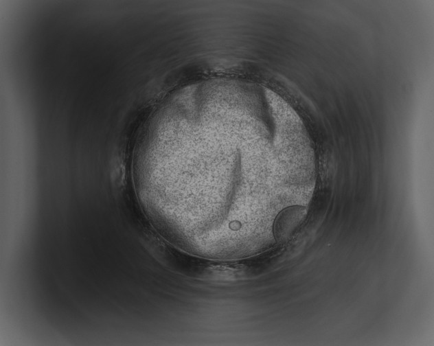 X0000100960703200807151358