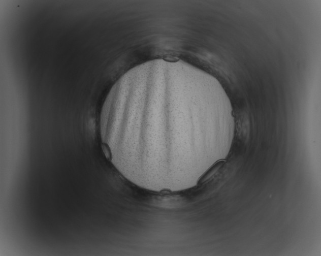 X0000100960716200807151358