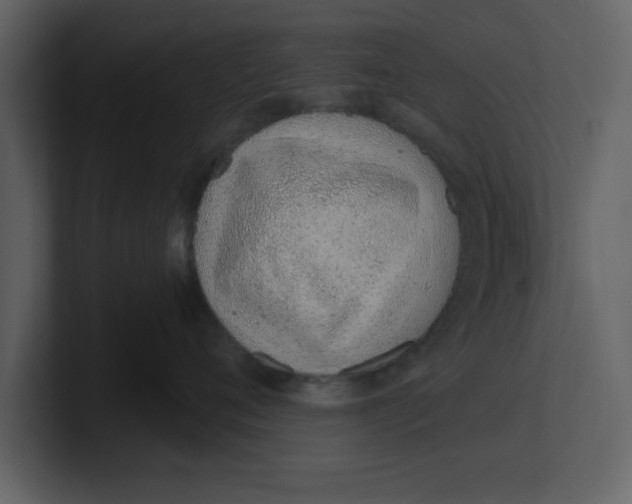 X0000100960720200807151358