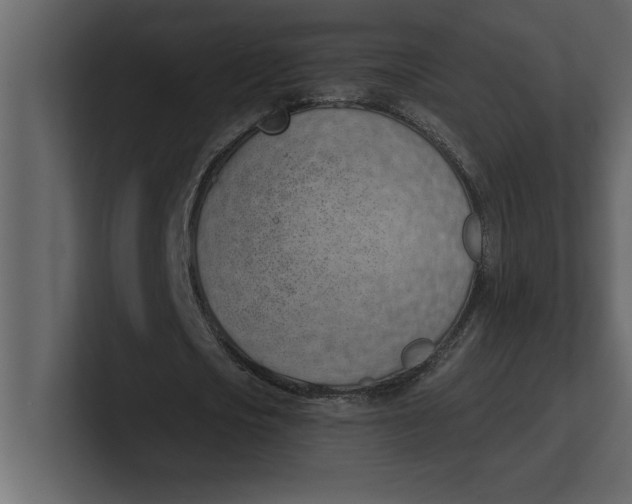 X0000100960721200807151357