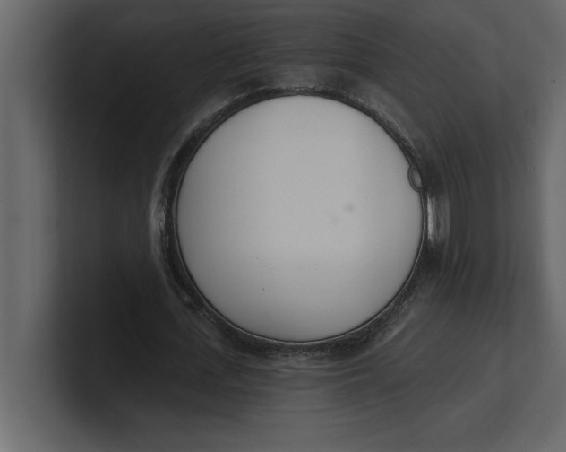 X0000100960723200807151357