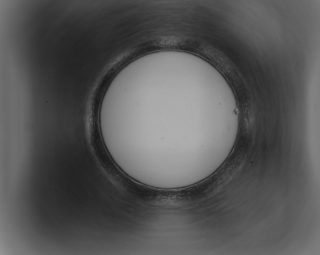 X0000100960728200807151358