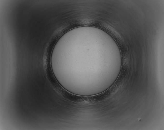 X0000100960736200807151358