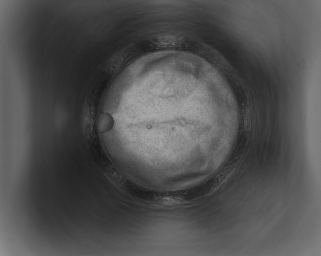 X0000100960737200807151358