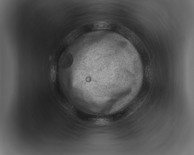 X0000100960741200807151358