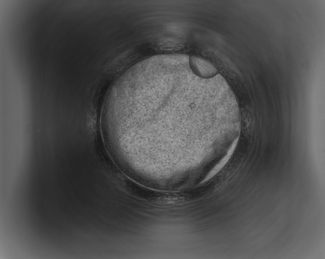 X0000100960745200807151358