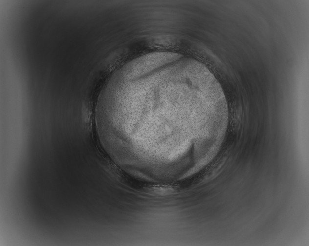 X0000100960749200807151358