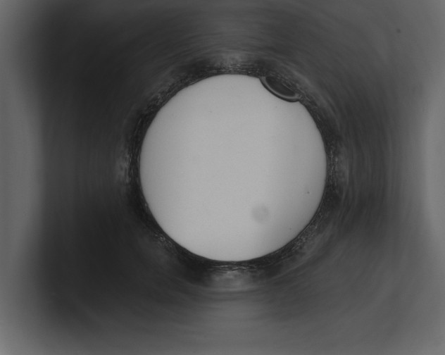 X0000100960750200807151358