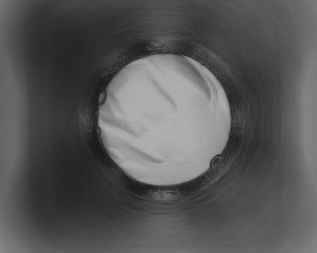 X0000100960751200807151358