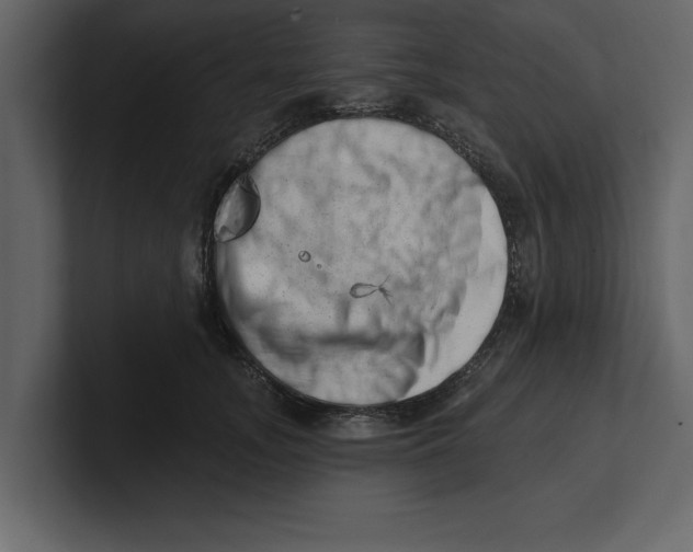 X0000100960755200807151358