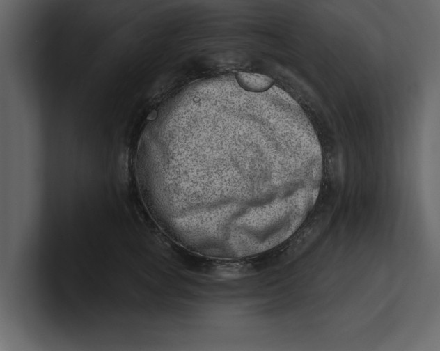 X0000100960757200807151358