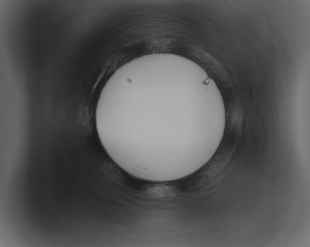 X0000100960759200807151358