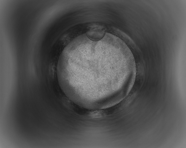 X0000100960761200807151358