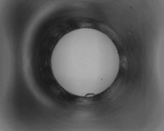 X0000100960763200807151358