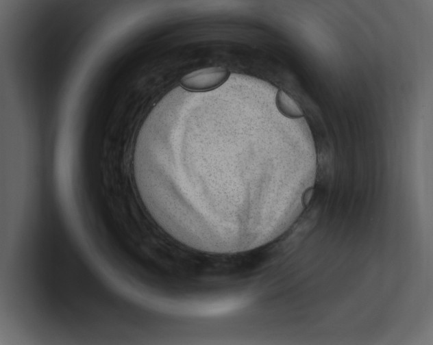 X0000100960765200807151358