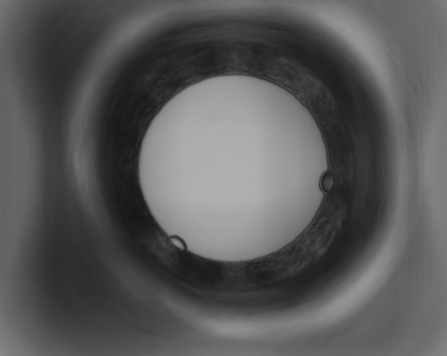 X0000100960766200807151358