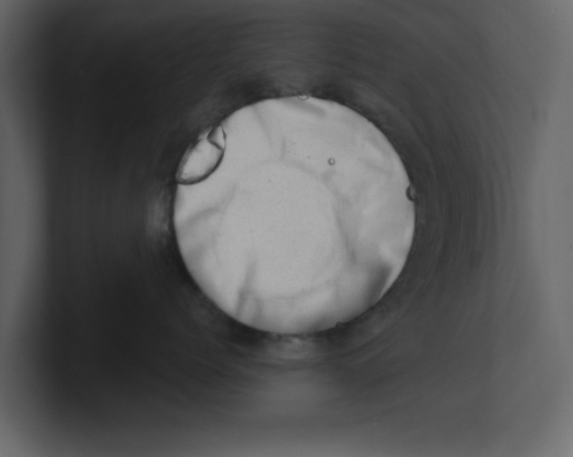 X0000100960768200807151358