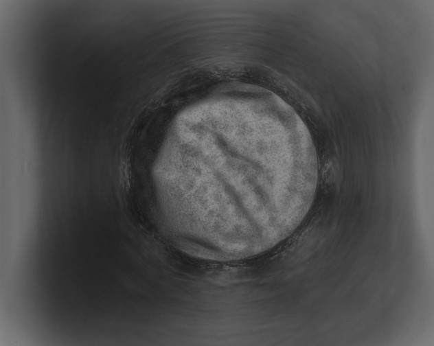 X0000100960772200807151357