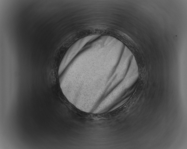 X0000100960774200807151357