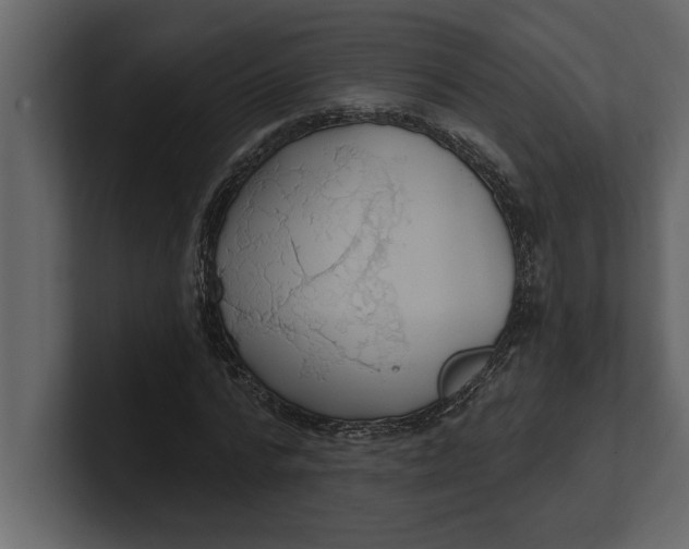 X0000100960776200807151357