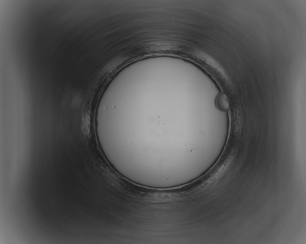 X0000100960777200807151357