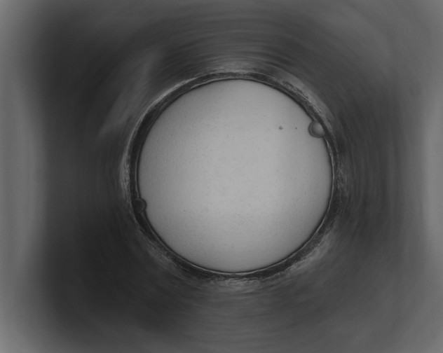 X0000100960779200807151357