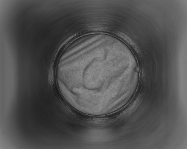 X0000100960782200807151357