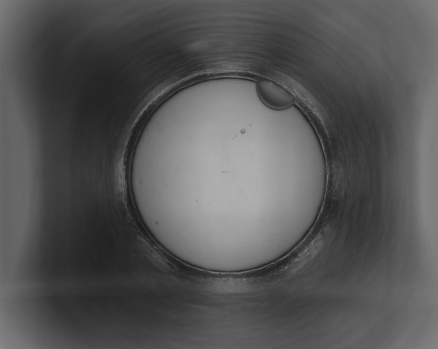 X0000100960789200807151357