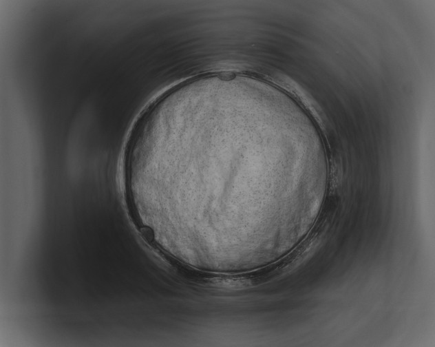 X0000100960795200807151357