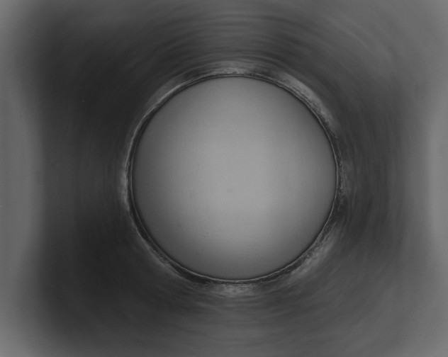 X0000100960802200807151357