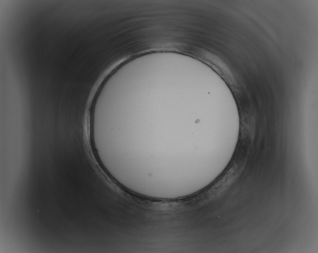 X0000100960804200807151357