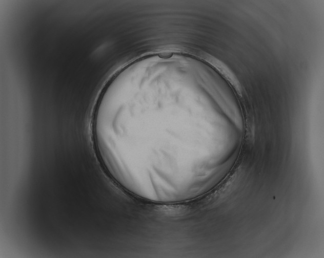 X0000100960805200807151357