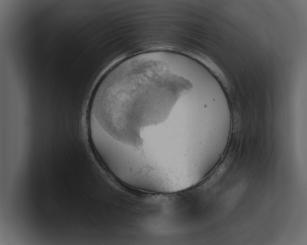 X0000100960806200807151357