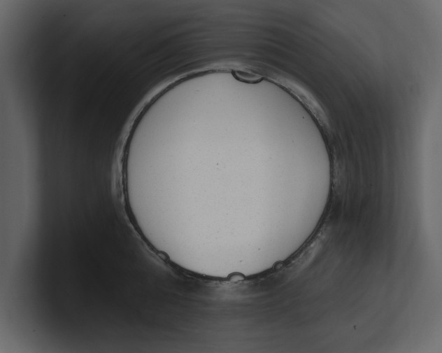 X0000100960808200807151357